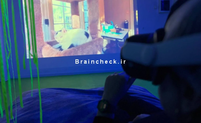 مواجهه درمانی با واقعیت مجازی ، فوبیای گربه