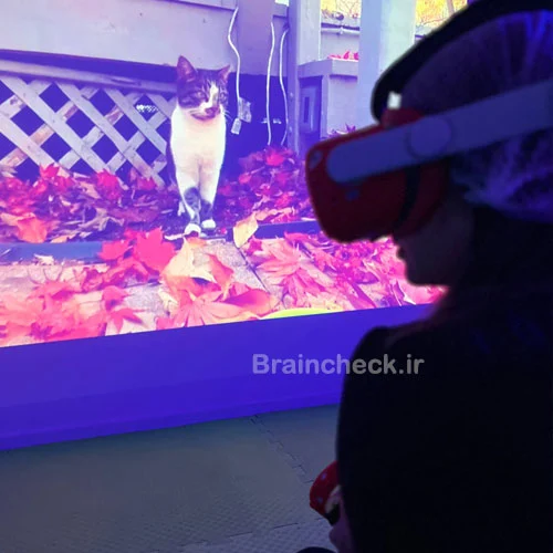 مواجه درمانی با واقعیت مجازی، درمان فوبیای گربه